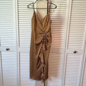 Vici Polka Dot Silk Dress